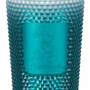 Disney Disneyland Starbucks Limited Edition Holiday Tumbler Candy Cane Straw NWT